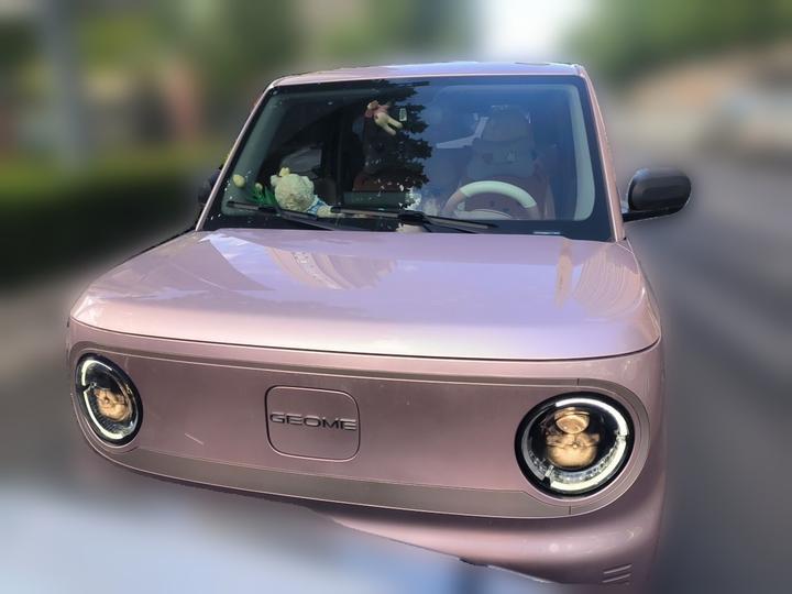 2023 Panda mini 200km Endurance Bear photo 2