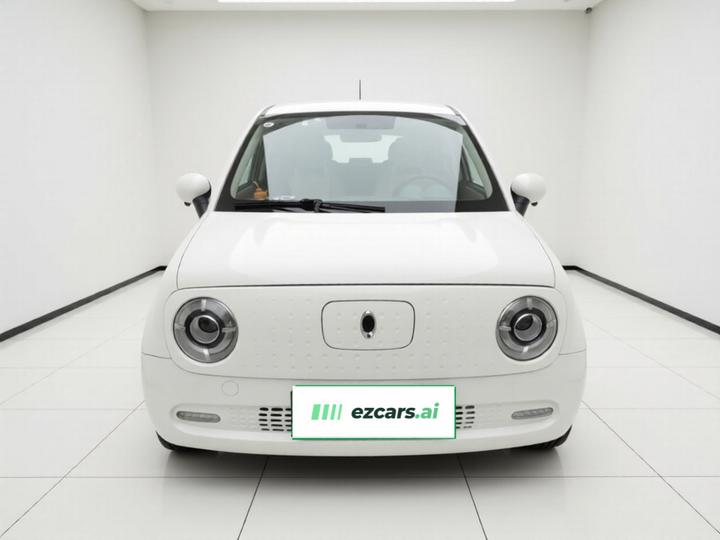 2021 351km Standard photo 2