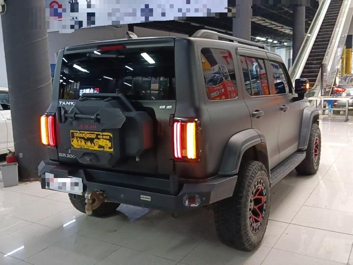 300 2021 Off-road 2.0T Conqueror photo 6