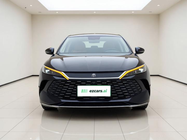 Qin L 2024 DM-i 80KM photo 2