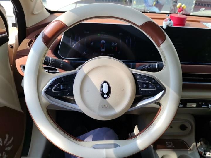 Good Cat 2024 401km Luxury photo 6