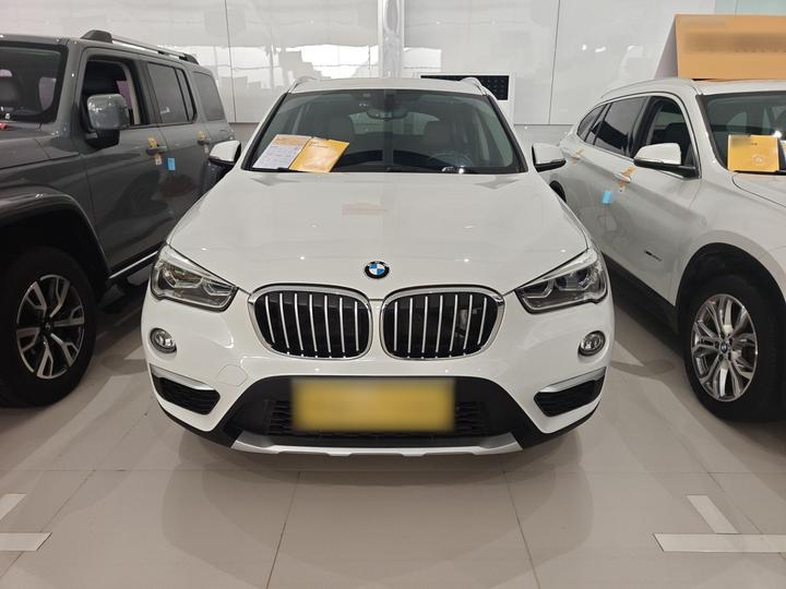 X1 2019 sDrive18Li Exclusive photo 2