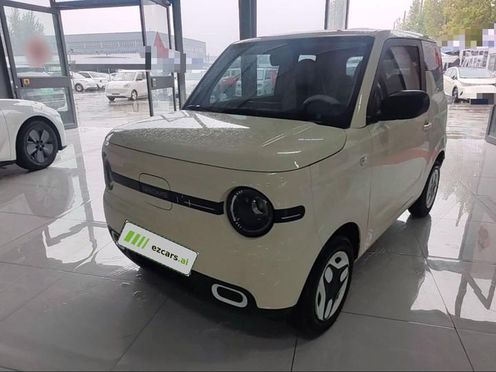 2025 Panda mini 210km Yuan