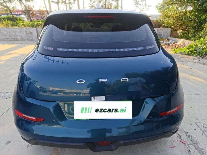 Good Cat 2021 400km Standard Range LFP photo 5