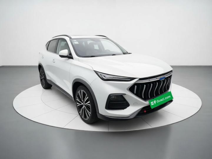 X5 2021 1.5T DCT Flagship photo 3