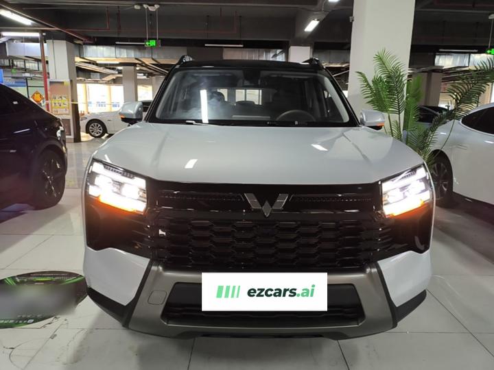 560 EV 2026 125km Luxury photo 2