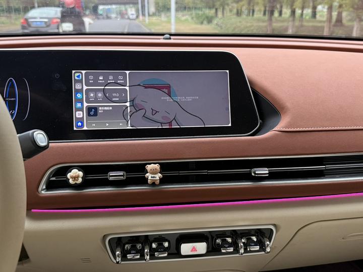 Good Cat 2023 401km Standard Range Luxury LFP photo 5