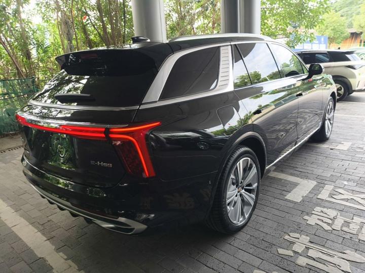 E-HS9 2022 690km 6-Seater photo 4