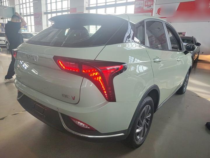 Neta V 2022 300 Lite LFP photo 6
