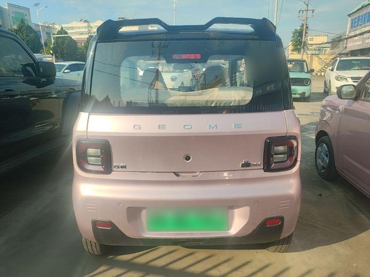 2024 Panda mini 200km Endurance Bear photo 6