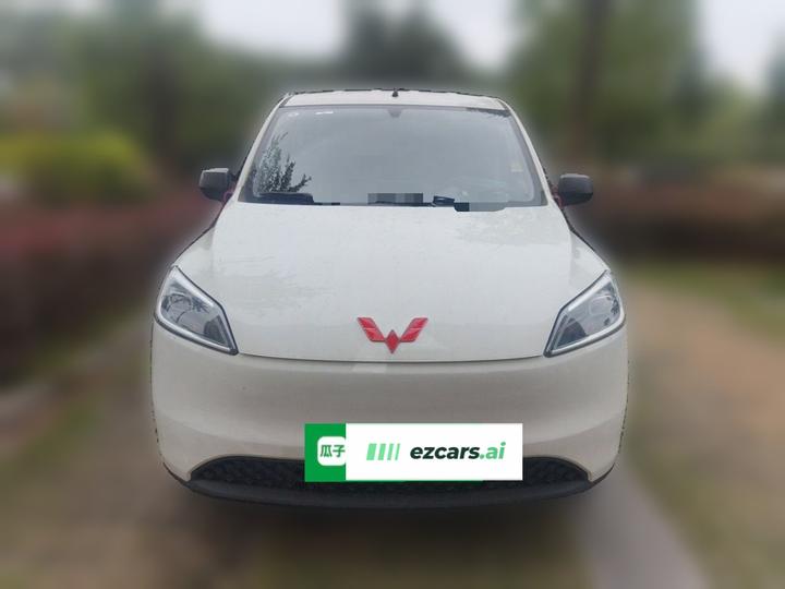 Wuling Hongguang EV 2024 EV 300KM Standard photo 2