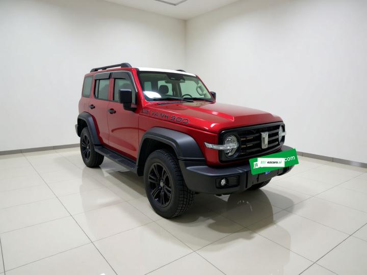 300 2021 Off-road 2.0T Conqueror photo 3