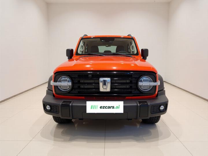 300 2021 Off-road 2.0T photo 2