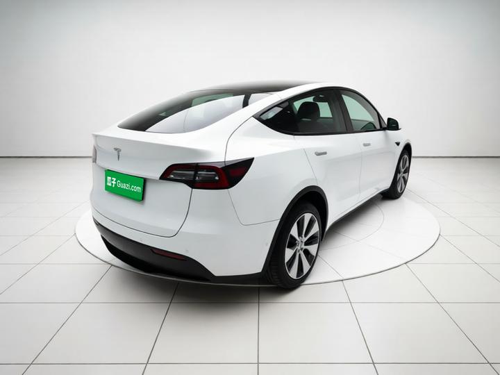 Model Y 2022 Long Range AWD photo 4