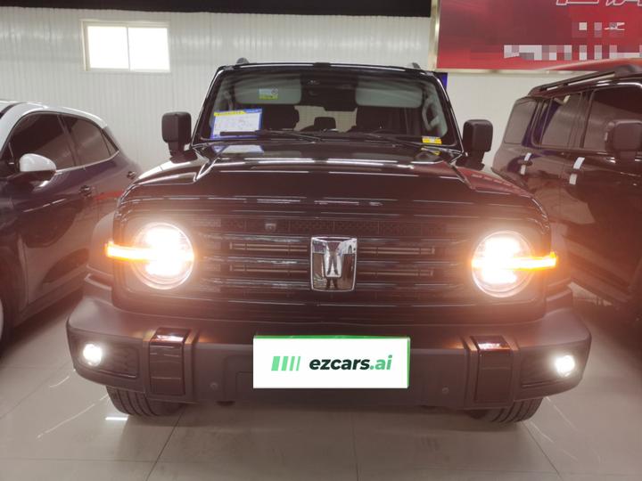 300 2024 2.0T Conqueror photo 2