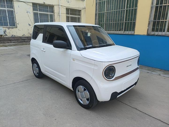 2024 Panda mini 200km Endurance Bear photo 3