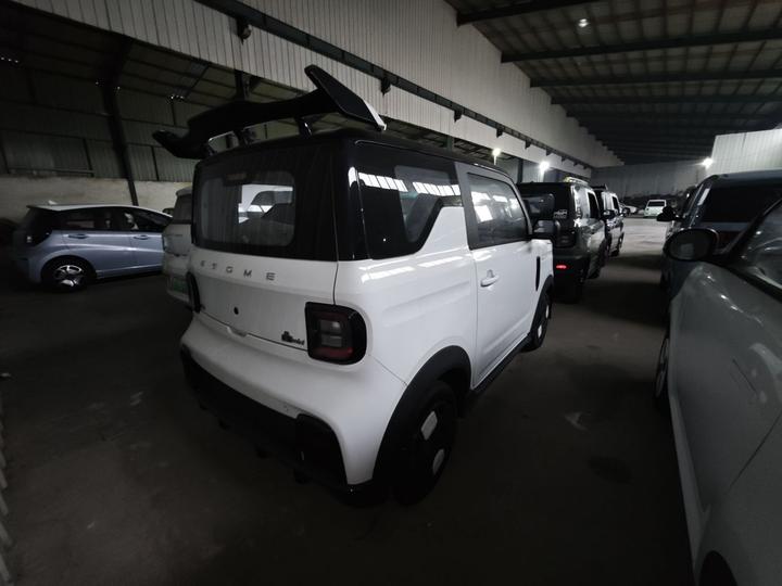 2025 210km Panda photo 6