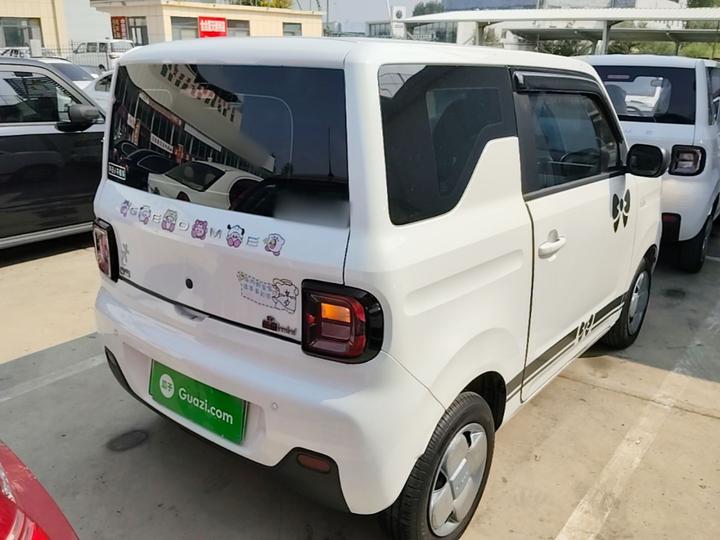 2024 Panda mini 200km Endurance Bear photo 6