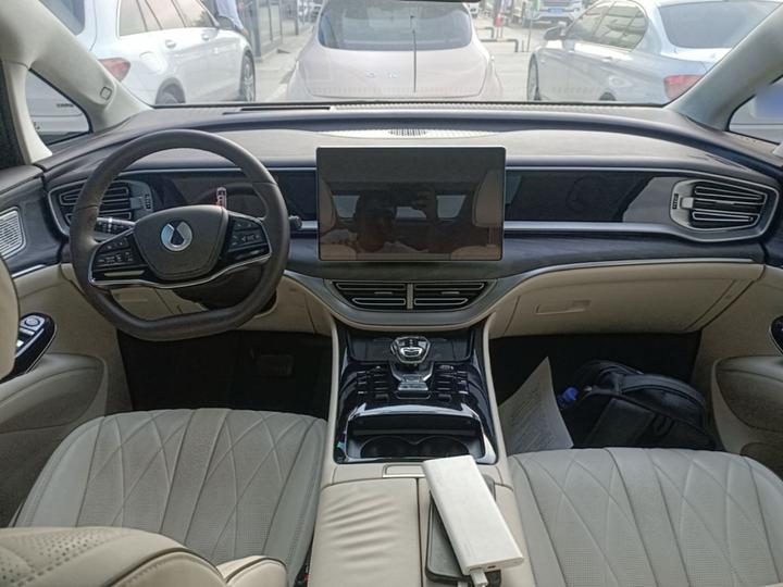 D9 2024 PIONEER 4-Seater photo 5