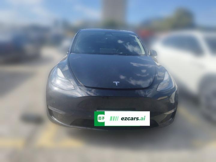 Model Y 2021 Standard Range RWD photo 2