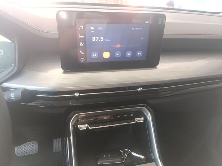 Wuling 2022 2.0L DHT photo 8
