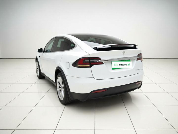 Model X 2019 Performance Performance photo 4
