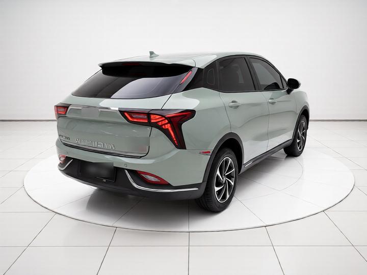 Neta V 2022 Standard Range photo 4