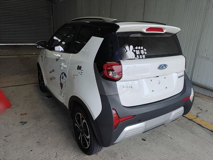 QQ Little Ant 2021 15 LFP photo 4