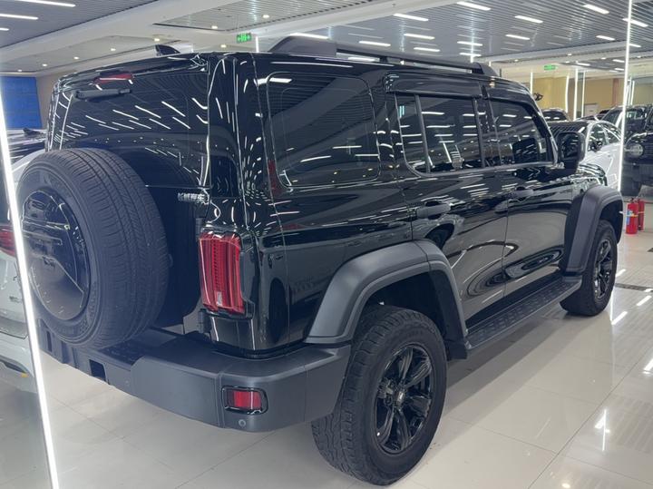 300 2021 Off-road 2.0T Conqueror photo 4