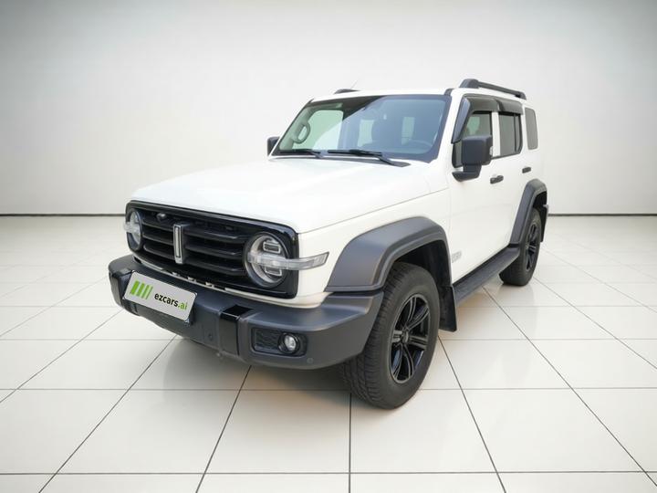300 2021 Off-road 2.0T Conqueror