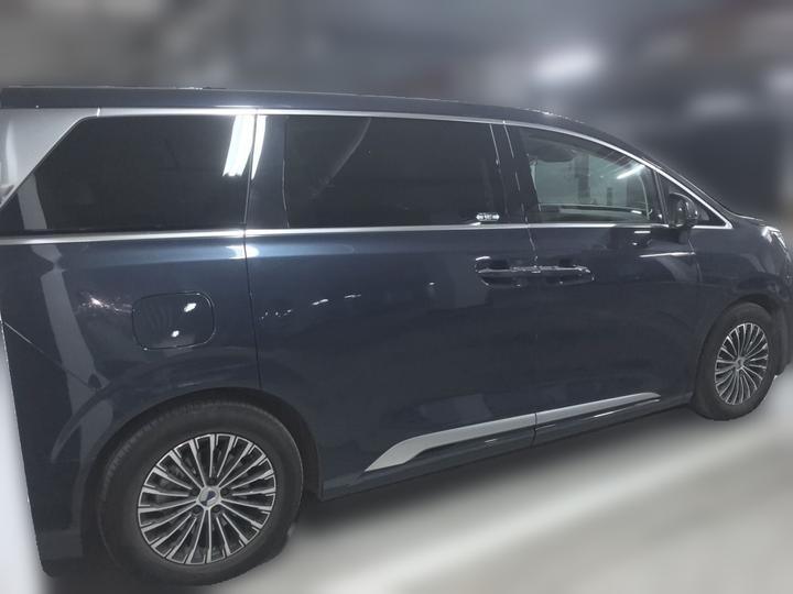 D9 2022 DM-i 970 AWD Noble photo 6