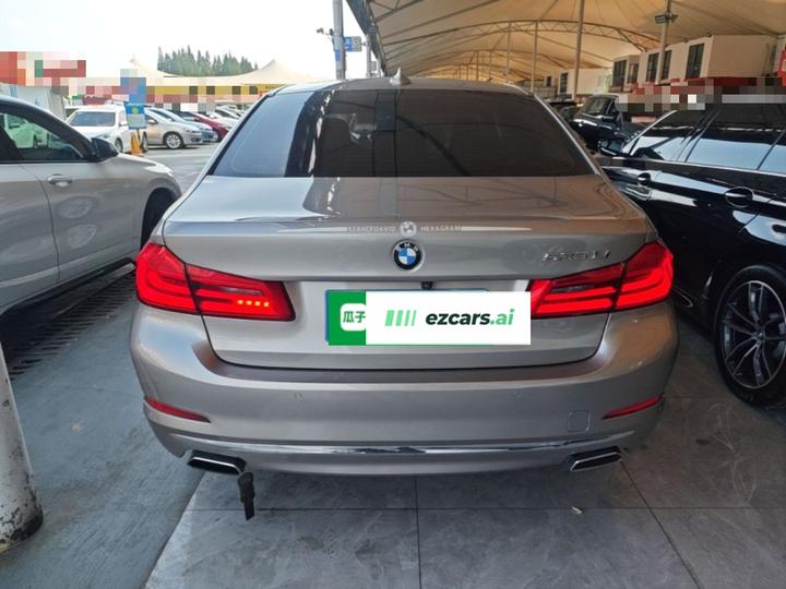 5 Series 2019 530Li Leading Luxury photo 5