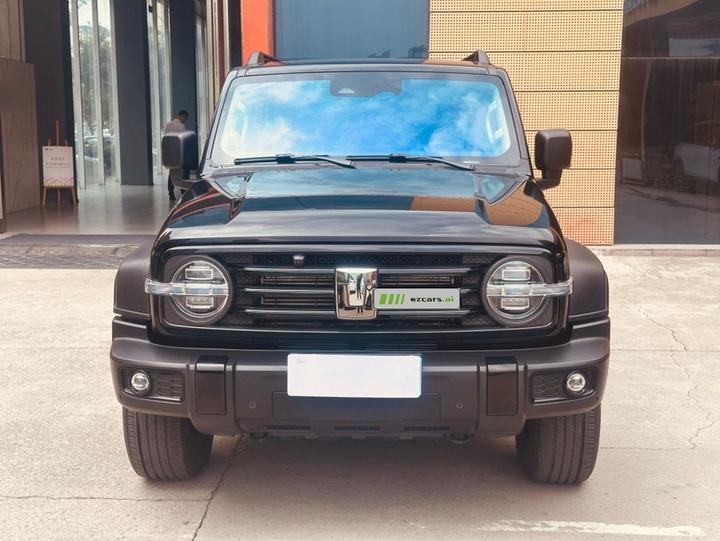 300 2025 2.0T Petrol photo 2