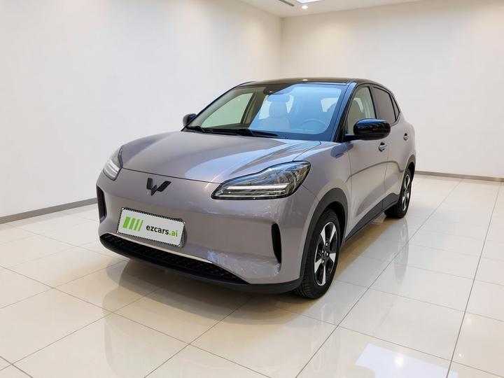 Wuling Bingo PLUS 2024 510km Flagship 4-Seater