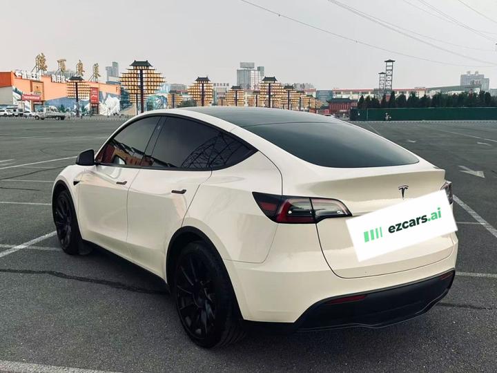 Model Y 2021 Standard Range RWD photo 4