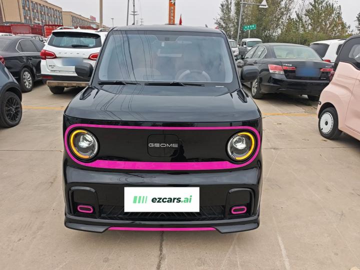 2025 210km Panda photo 2