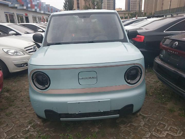 2023 Panda mini 200km Endurance Bear photo 2