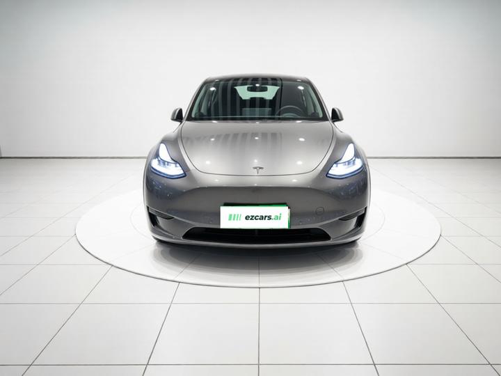 Model Y 2021 Performance AWD photo 2