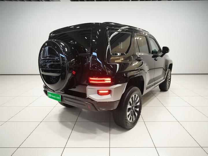 700 EV 2024 Hi4-T photo 4