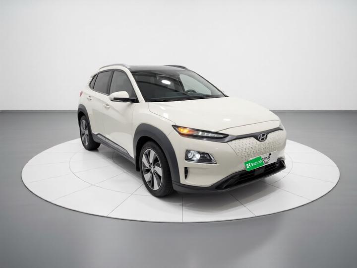 EV 2020 GLS photo 3