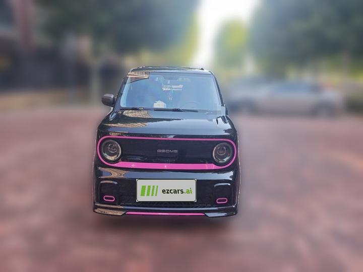 2025 210km Panda photo 2
