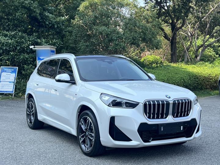 X1 2023 sDrive25Li M Sport Package photo 3