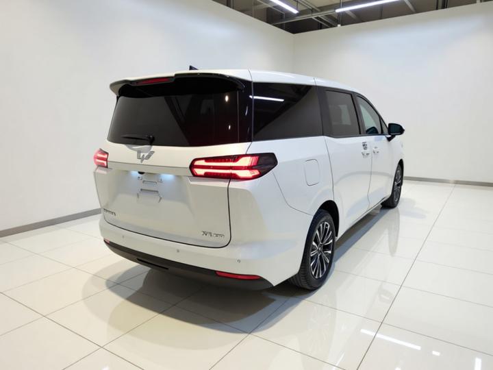 730 EV 2025 125km Luxury photo 6