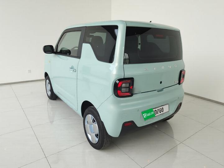 2023 Panda mini 200km Endurance Bear photo 4