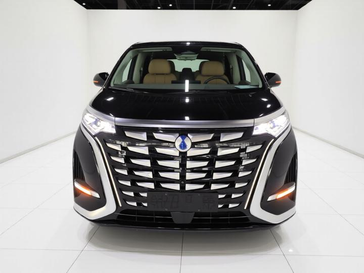 D9 2022 DM-i 970 AWD Flagship photo 2