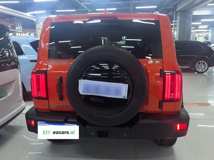 300 2021 Off-road 2.0T Conqueror photo 3