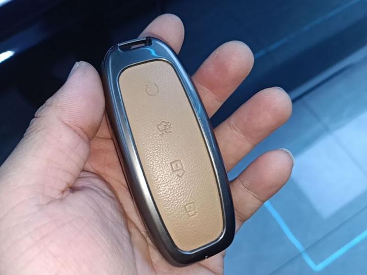 D9 2022 DM-i 970 AWD Flagship photo 8