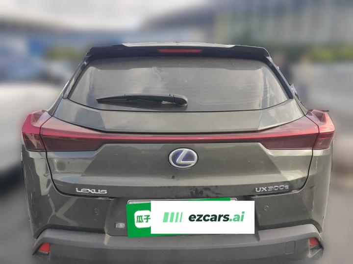 UX EV 2020 300e photo 5