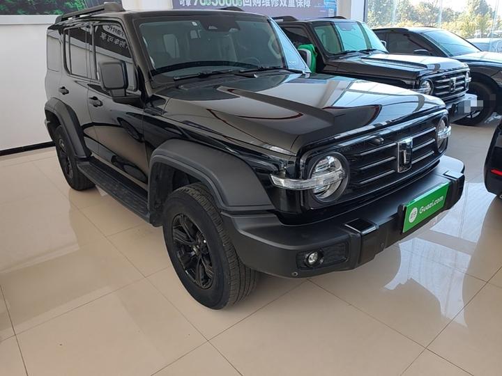 300 2023 Off-road 2.0T Conqueror photo 3