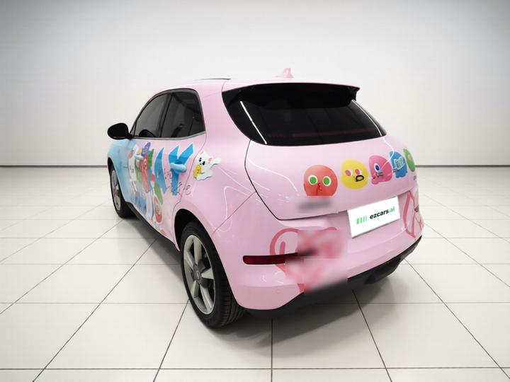 Good Cat 2023 401km Standard Range Luxury LFP photo 4